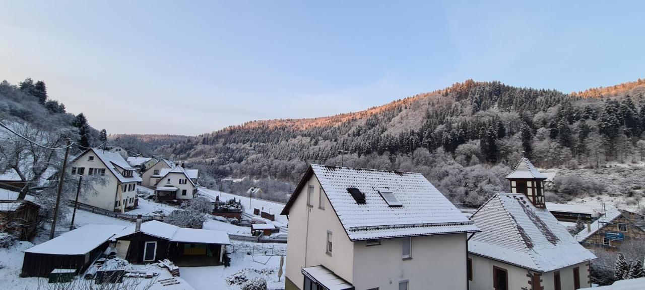 Ferienwohnung Wolfsschlucht Calw Exterior photo